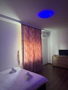 a bedroom with a bed with a curtain and a tv at Nova in Bacău