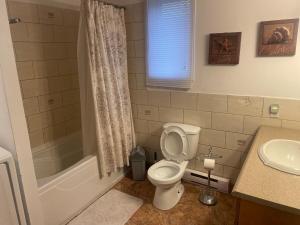 a bathroom with a toilet and a shower and a sink at Large Farm in Bélanger