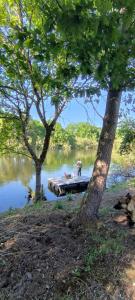 Φυσικό τοπίο κοντά σε αυτός ο ξενώνας