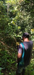 a man walking down a trail in the woods at Eco camping JASAL in Calabolo
