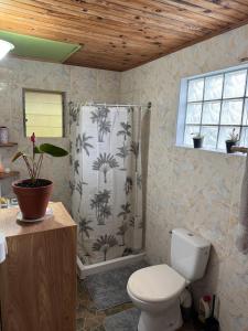 Koupelna v ubytování Ti Coin Fanjan Gîte au Tevelave