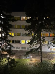 un bâtiment avec un arbre devant lui dans l'établissement Zimmer, à Vienne