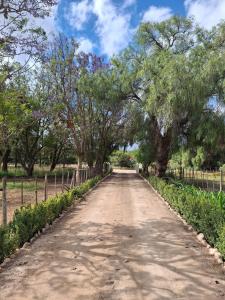 Κήπος έξω από το LuFan Studio-Greeff Cottages