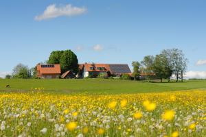 a field of flowers with a house in the background at Ferienwohnung Hof Zürnen in Wolfegg