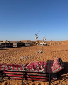 Φωτογραφία από το άλμπουμ του Al Badri Bedouin Camp σε Badīyah