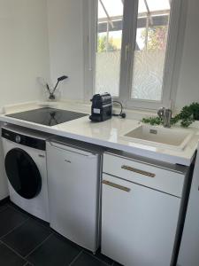 una cucina con lavello e lavatrice di Charmant T2 refait à neuf 1chambre 1 canapé lit dans le bureau et 1 canapé lit dans le salon a Saint-Nicolas-de-Port