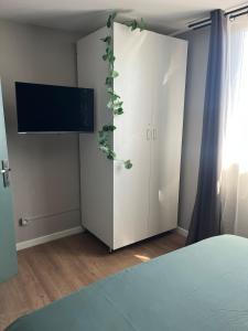 una camera da letto con una tv e una pianta su una parete di Charmant T2 refait à neuf 1chambre 1 canapé lit dans le bureau et 1 canapé lit dans le salon a Saint-Nicolas-de-Port Altre 15 foto