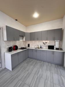 Η κουζίνα ή μικρή κουζίνα στο Panorama apartments