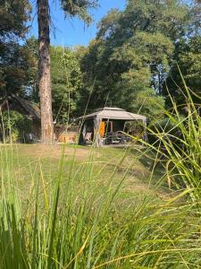 ein Zelt auf einem Feld neben einem Baum in der Unterkunft LEŚNE ZACISZE in Polanica-Zdrój