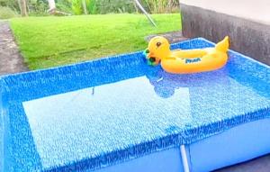 a toy rubber duck sitting on top of a swimming pool at Refúgio da Colina Lumiar in Nova Friburgo