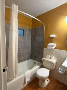 a bathroom with a toilet and a bath tub with a sink at Hico Hills Inn in Hico