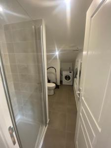 a bathroom with a shower and a toilet and a sink at Le Jasmin - charmant T2 en hypercentre d'Agen in Agen +2 photos