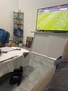 TV a/nebo společenská místnost v ubytování City stay apartment