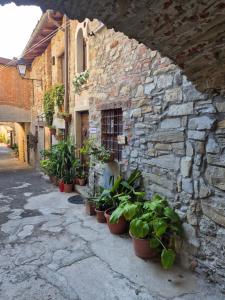 un grupo de plantas en macetas frente a un edificio de piedra en Casa Camilla, Casa Vacanze sulle colline di Lerma, en Lerma
