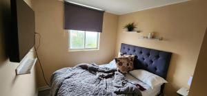 a bedroom with a bed with a blue headboard and a window at Dep nuevo in Rancagua