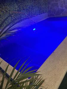 a blue swimming pool with a plant in the foreground at Casa del sol rustic stay in La Paz