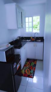 une petite cuisine avec un évier et un réfrigérateur dans l'établissement Holiday oasis, à Steer Town