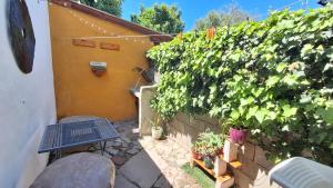 a patio with a table and a bunch of plants at Depto III in Capilla del Monte