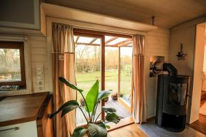 a plant in a kitchen next to a sliding glass door at Tiny house with view of nature in Coesfeld