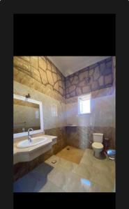 a bathroom with a sink and a toilet and a mirror at Villa Nile Queen -guest house in Luxor