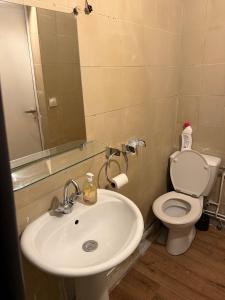 a bathroom with a sink and a toilet at Maisonnette in Aulnay-sous-Bois