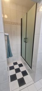 a shower with a glass door and a checkered floor at Ferienwohnung Lichtblick mit Terrasse in ruhiger Lage in Sulingen +28 photos