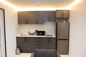 a kitchen with gray cabinets and a refrigerator at Willow Brooks in Cape Town