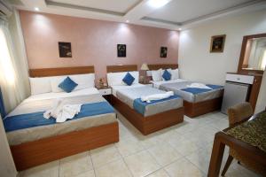 Postel nebo postele na pokoji v ubytování Osiris Hotel Downtown