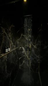 a bathroom with a shower on a marble counter top at SecretRoomBdx in Carbon-Blanc +6 photos