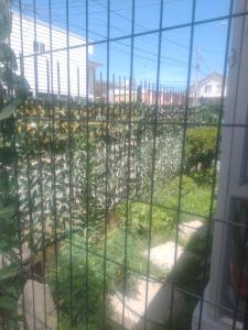 a view of a garden through a window at Minicasa in Coquimbo