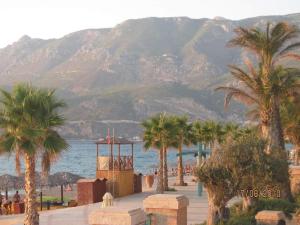 ルートラキにあるLucy's comfy apt in town centre by the seaの山付き海岸のヤシの木群