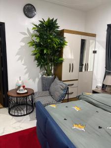 a bedroom with a bed and a table and a plant at Nabs lodge in Kumasi