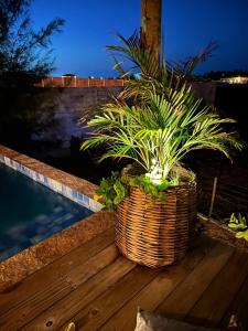 a basket of plants sitting on a deck next to a pool at Bangalô Exclusivo Pontal do Maceió in Fortim