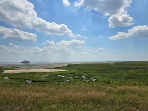 Příroda nedaleko prázdninového domu + 27 fotografií