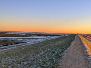 a dirt road in the desert at sunset at 5 star holiday home in Rømø in Rømø Kirkeby