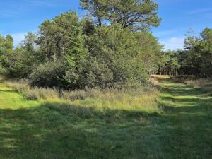 a grassy field with trees on the side of it at 5 star holiday home in Rømø in Rømø Kirkeby