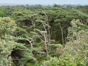 Příroda nedaleko prázdninového domu + 30 fotografií