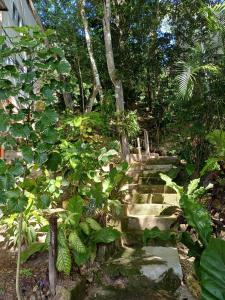 Gallery image of Casa Lunama in Piedra Blanca