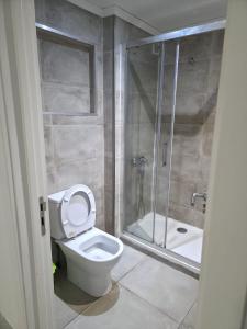 ein Badezimmer mit Toilette und Dusche in der Unterkunft Nok Nok in Odivelas