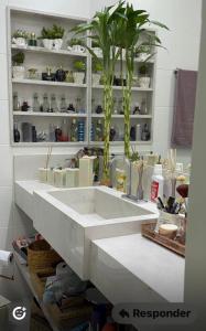 a kitchen with a sink with a plant in it at Lar dos Fernandes in Belém