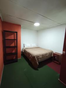 a bedroom with a bed and a green floor at Mate Sur Hostal in Cochrane