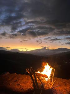 Gallery image of El refugio Ecolodge in Turrialba +25 photos