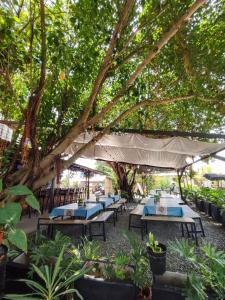 Κήπος έξω από το HYD Hostel Moalboal