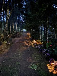 Gallery image of El refugio Ecolodge in Turrialba