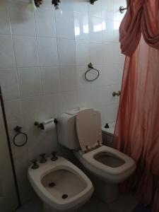 une salle de bains avec toilettes et lavabo dans l'établissement Franchesco apart familiar, à Trelew