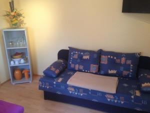 ein blaues Sofa mit Kissen im Wohnzimmer in der Unterkunft Ferienwohnung Boddenzander in Dändorf