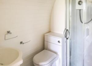 a small bathroom with a toilet and a sink at Bron Eifion Lodges in Criccieth