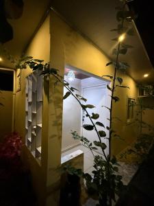 AguacatalにあるLa casita de aladoのドアと植物のある小さな家