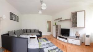 salon z kanapą i telewizorem w obiekcie Apartmani Vedmar w Zagrzebiu
