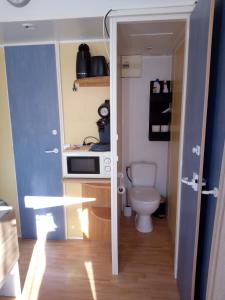 een kleine badkamer met een toilet en een magnetron bij Mobil Home in Thiviers